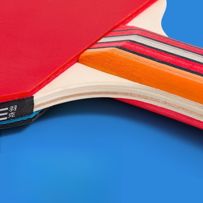 Set di racchette da ping pong  - Table Tennis Backhand recensione e prezzo
