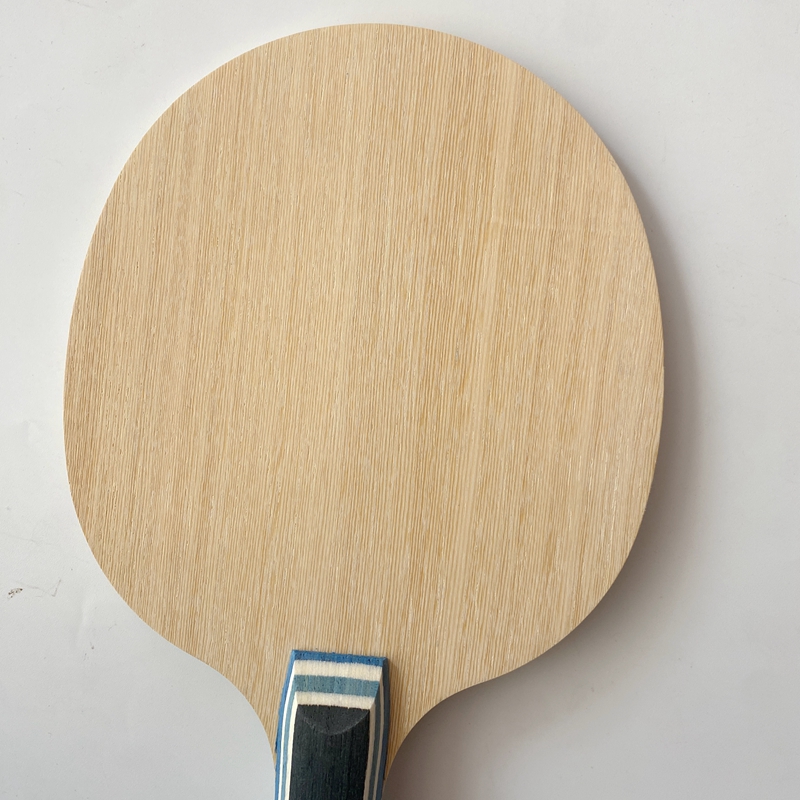 Racchetta da Ping Pong Lemuria - Table Tennis Viscaria recensione e prezzo
