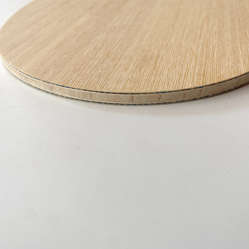 Racchetta da Ping Pong Lemuria - Table Tennis Viscaria recensione e prezzo