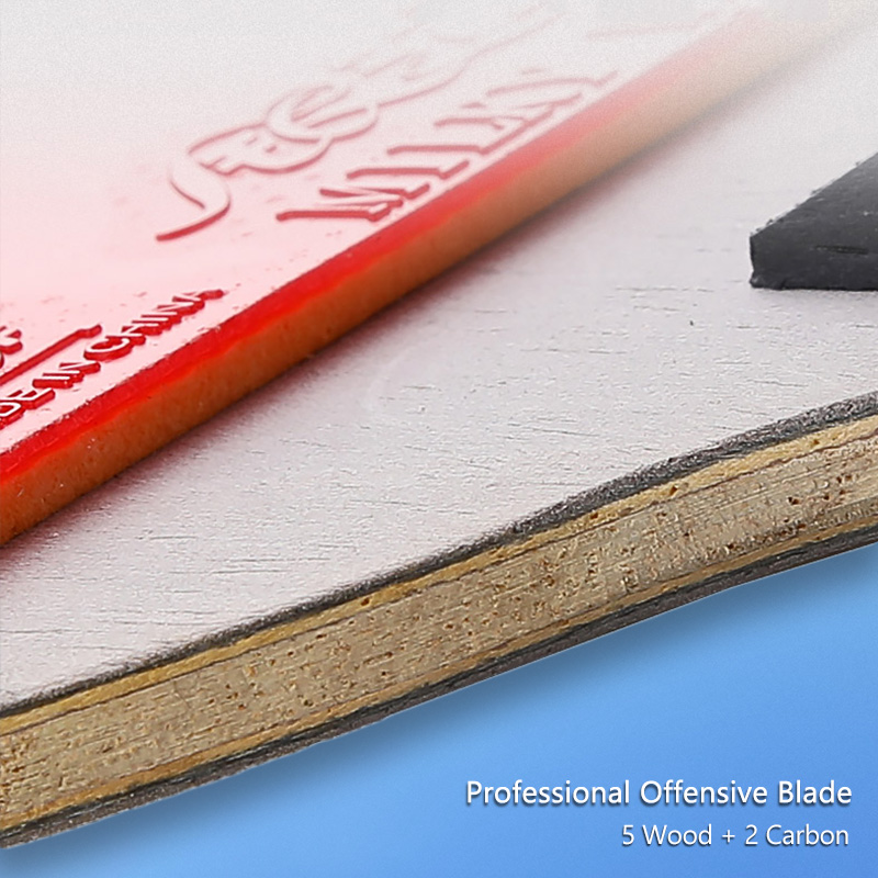 Yinhe racchetta da Ping Pong a - Table Tennis Viscaria recensione e prezzo