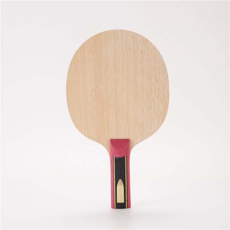 Stuor 5 strati di legno con 2  - Table Tennis Viscaria recensione e prezzo