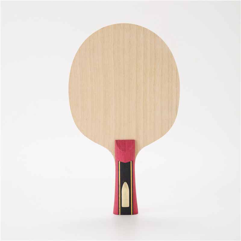 Stuor 5 strati di legno con 2  - Table Tennis Viscaria recensione e prezzo