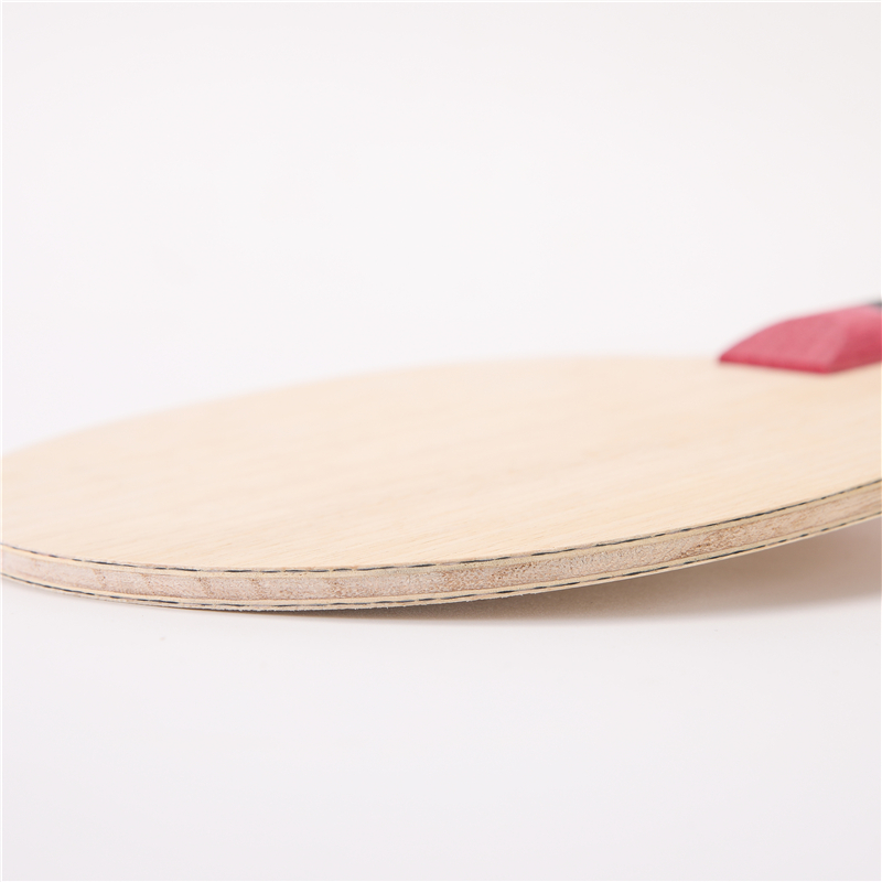 Stuor 5 strati di legno con 2  - Table Tennis Viscaria recensione e prezzo