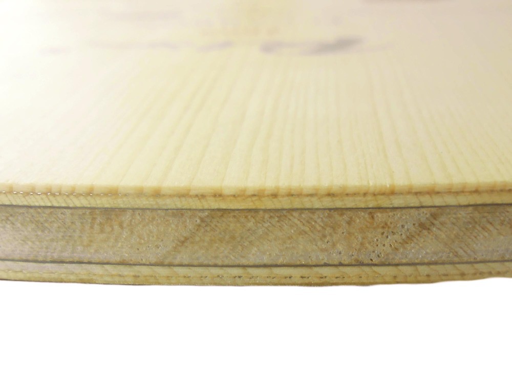 PALIO 8603 Carbonio Titanio Pi - Table Tennis Forehand Rubber recensione e prezzo
